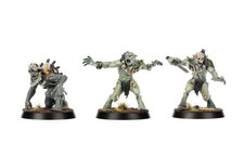 WH Warcry Nightmare Quest Ghoul Flesh Eater Courts Royal Beastflayers SQUIRES x3