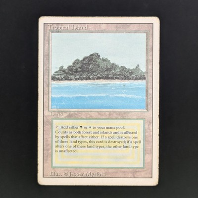 MTG \>> Tropical Island (PL) // Revised - 341 Trading - Magic