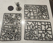 AoS Kurnoth Hunters x2