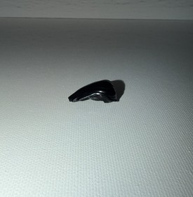 LEGO Pirates of the Caribbean Minifigure Yeoman Zombie minifigure