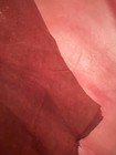 Bild 19 von 21