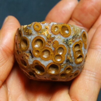 RARE 77.5g Natural  Warring States Red Agate Healing 48A49+