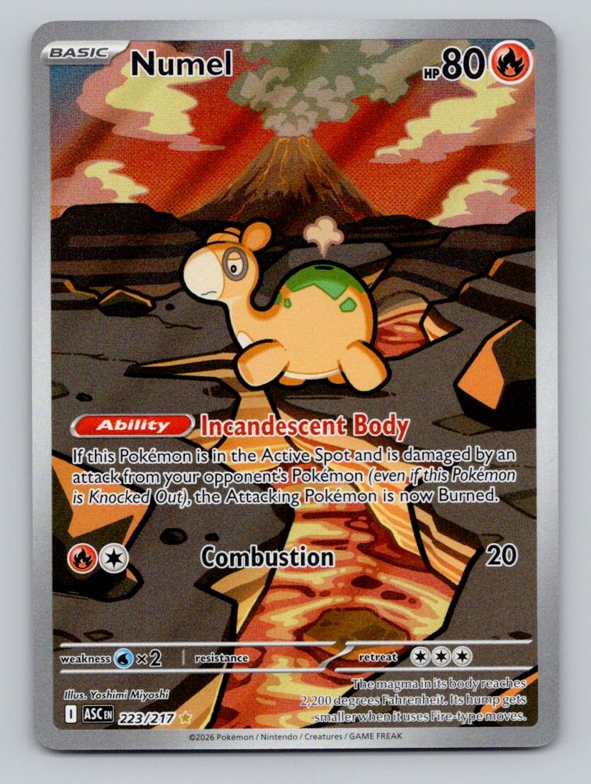 Numel 223/217 Illustration Rare Ascended Heroes Pokemon Holo Near Mint