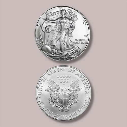 Pre Owned 2005 - 1 oz American Silver Eagle Coin - One Troy oz .999 Bullion-B2