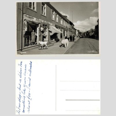 Vintage Postkarte - Tromsø Norwegen Claus Andersen Kürschnerladen ECHTFOTO UNBESPIELT