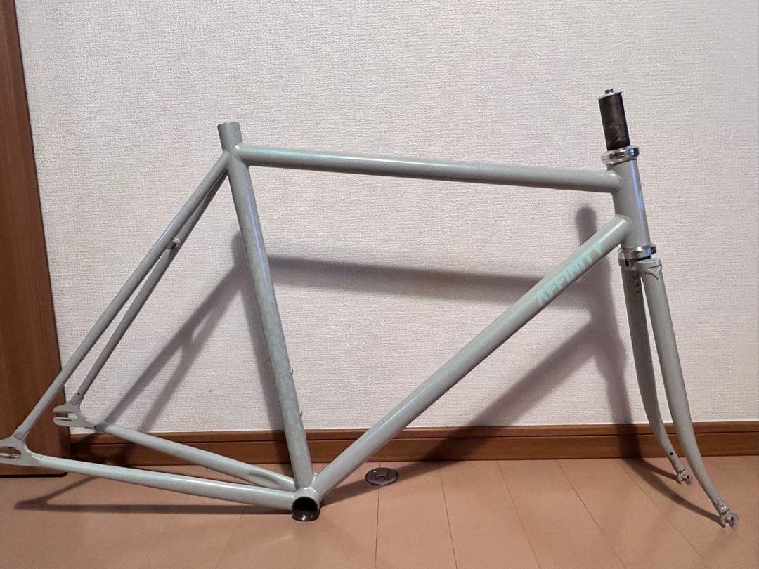 Affinity Cycles Metropolitan 2022 Track Frame Small Size | eBay