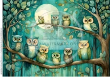 Owls on Branch | A4 Rice Paper | Paper for Decoupage | Decoupage Central