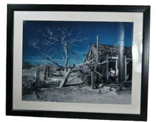 Print of an Old House / Tree and Landscape Framed Matted Under Plexiglass 