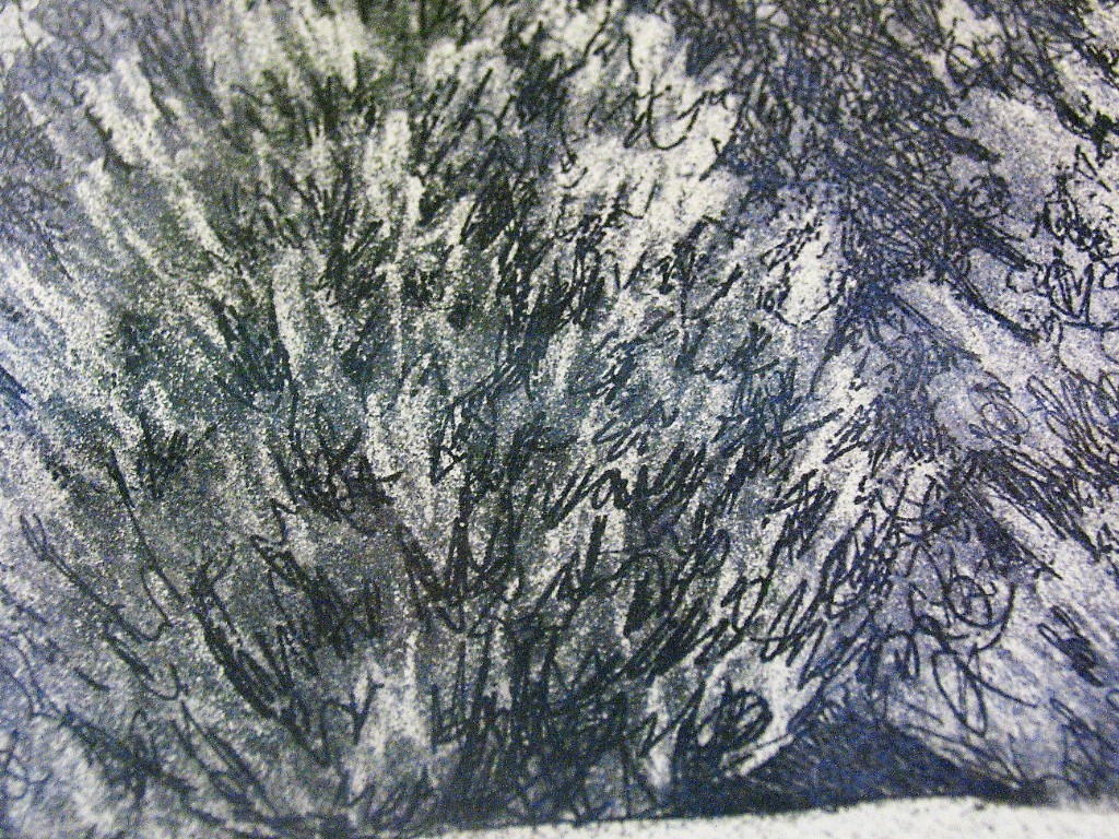 Picture 8 of 11