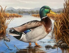 Limited Edition Duck Art Print "Mallard" Giclee By Wildlife Artist Roby Baer