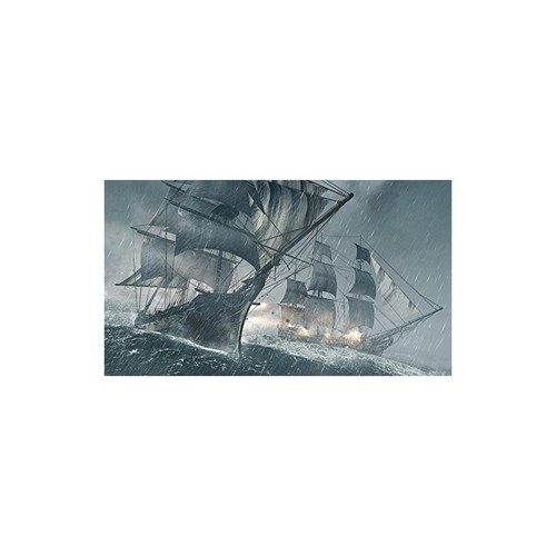 Assassin's Creed IV : Black Flag Playstation 3 Occasion - Picture 13 of 17