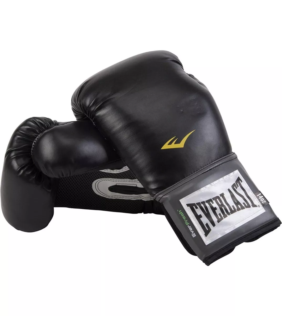 12 oz everlast boxing cheap gloves