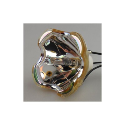 100% New Compatible with Projector Lamp Bulbs Fits For VPL-FX30