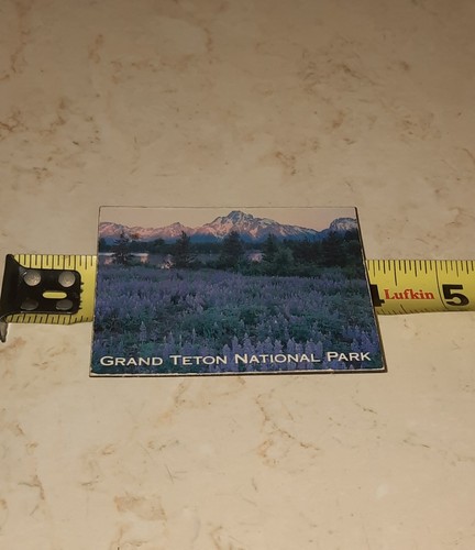 Magnete frigorifero souvenir vintage parco nazionale Grand Teton - Foto 3 di 3