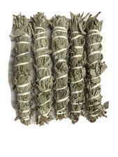 12  -13  Long Wild California White Sage Smudge Stick Pack of 5 Free Shipping