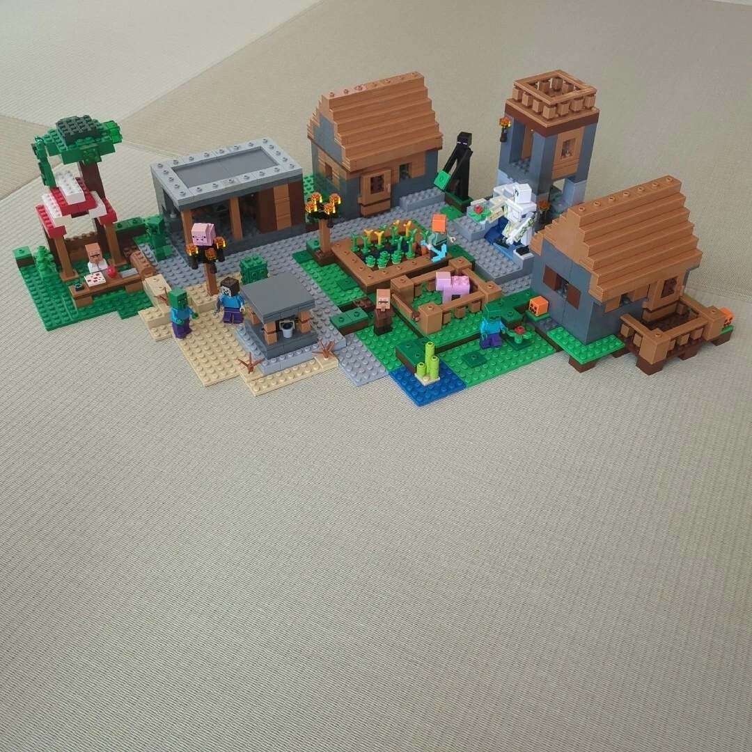 LEGO Minecraft The Village 21128 In 2016 Used Retired