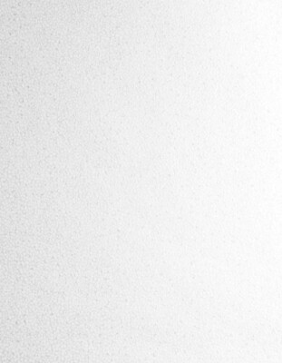Wallpaper ETTEN Studios Faux Mica Textured Look Off White Silver , 56 Sq Ft Bolt