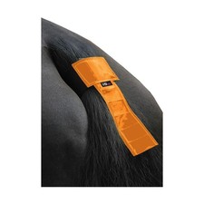 HyVIZ Tail Band  TL6967