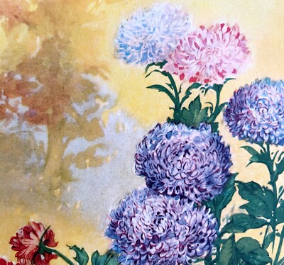 Aster Lithograph 1920 Flower Print Myron Van Brunt Floral Garden Art DWDD16