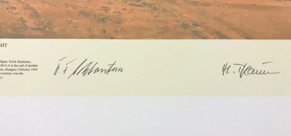 Arte de aviação The Blond Knight por Robert Taylor assinada por pilotos da Luftwaffe da Segunda Guerra Mundial - Imagem 3 de 4