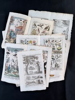 Weigel Nuremberg The Painted World 16 Copper Plates Mostly Coloured 1785