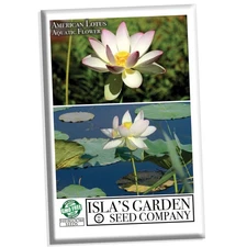 American Lotus Aquatic & Pond Flower Seeds for Planting, 2 Seeds Per Packet, ...