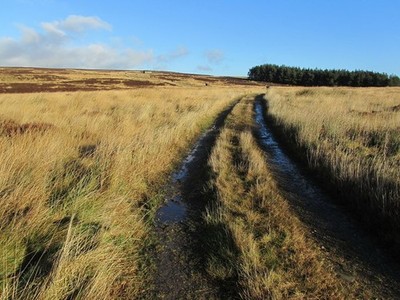 Foto A3 auf Denton Moor Middleton\/SE1249 Angenehmer Morgen zum Spaziergang c2012