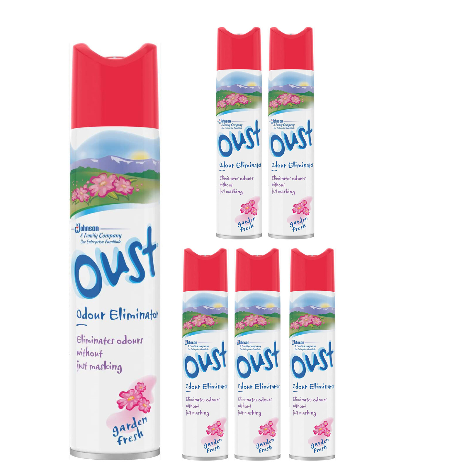 Oust Odour Eliminator Aerosol Air Freshener Spray, Garden Fresh, 300Ml - Image 4