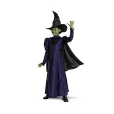 NEW Wicked Elphaba Deluxe Halloween Costume Girls Medium 7-8 Dress Cape Hat