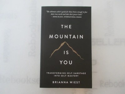 The Mountain Is You: Transforming Self-Sabotage Into Self-Mastery