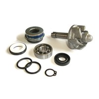 Flickzeug Wasserpumpe Aprilia 250 Leonardo