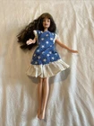 Vintage 90s Barbie Brunette Twist Head 1999 China Blue Stars Long Hair Bangs VTG