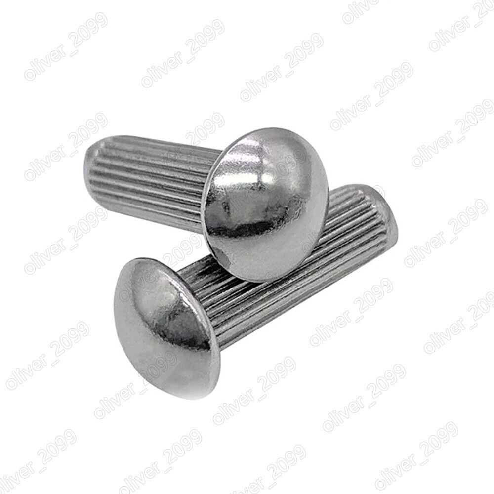 304 Stainless Steel Round Head Solid Rivets M2 M3 M4 M5 for Name Plates