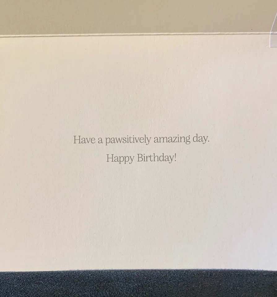 Happy Birthday Card! 3D Dog Walk! Pawsitively Amazing Burgoyne - Image 2 of 4