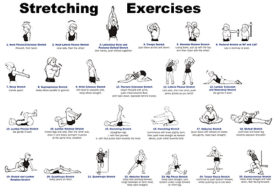 Printable Stretching Exercises