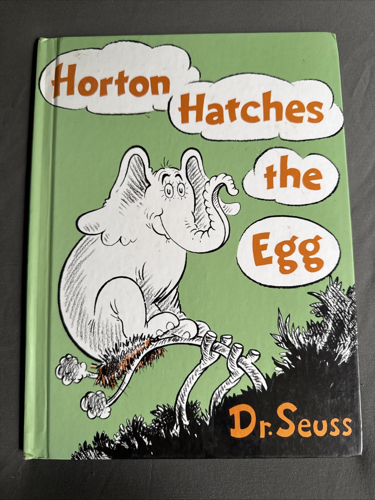 Horton Hatches the Egg