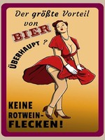 Holzschild 40X30 Cm Pinup Vorteil Bier Keine Rotweinflecken Deko Geschenk Holz S