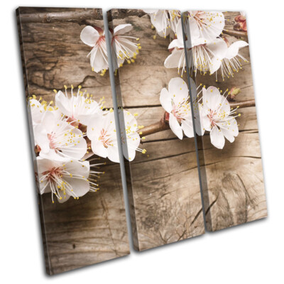 Cherry Blossom Pink Shabby Chic Floral TREBLE Leinwand Kunst Bild drucken