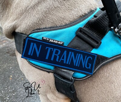 Dog Harness Patch, In Training Embroidered Patch, Suitable for Julius-K9 Product