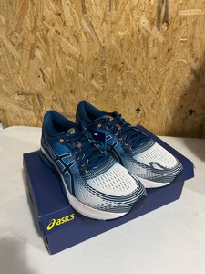 asics gel nimbus 21 white lake drive