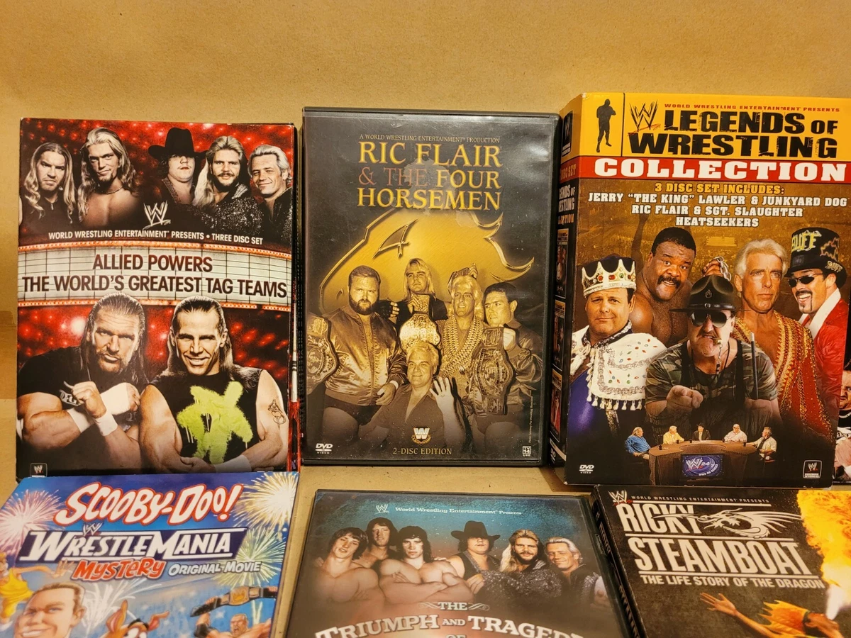 Ricky Steamboat Titles