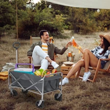 Heavy Duty Folding Wagon Cart 220lb Utility Wagon Folding Cart for Garden&Beach