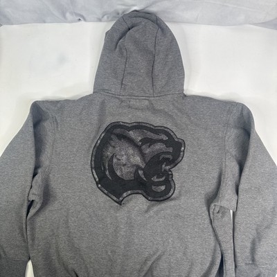 Hershey Bears AHL Sweatshirt Gray JanSport Hockey Club Mens XL - READ