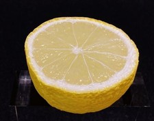 Food sample lemon half cut