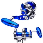 Conventional Reel Fishing Reels - Trolling Reel Lever Drag deep Sea Ocean Big.