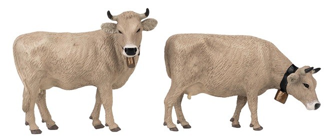 Pola G 331553 - G - Mountain Cows - New