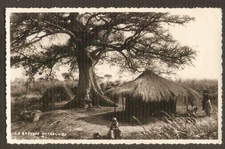 CONGO  BELGE  carte postale cpsm   La brousse Katangaise (village)/Gevaert