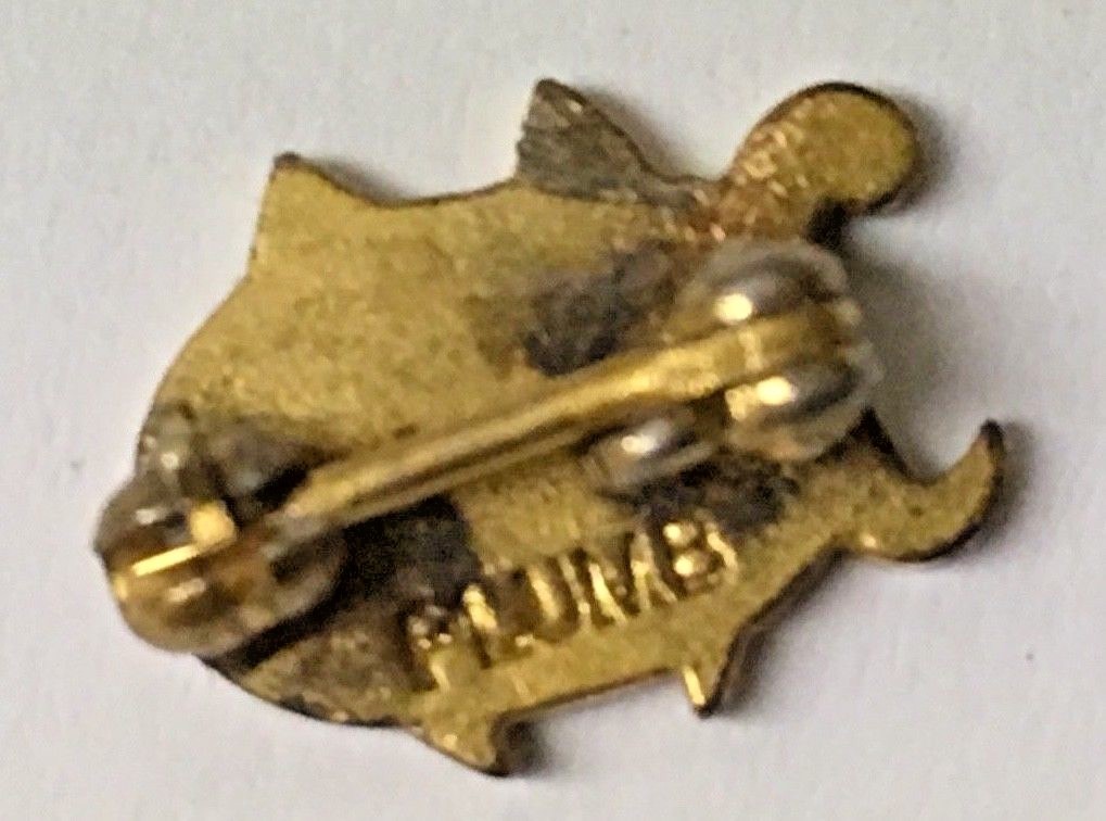 Vintage D M N Pin | eBay