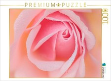 CALVENDO Puzzle Rose im Morgentau 1000 Teile Lege-Gr e 64 48 cm Foto-Puzzle