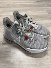 Nike LeBron Witness 6 Pure Platinum for Sale | Authenticity